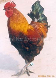 防伪商标产品列表 第103页
