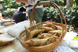 2018安徽省挑战圣诞节 亲子嘉年华与市集齐亮相，好吃好玩有趣到停不下来